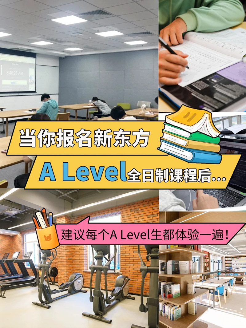 ¶alevelѵ02.jpg