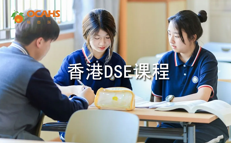�����ٿ�DSE�γ�