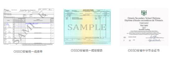 ���ڻ������OSSD�＾������������