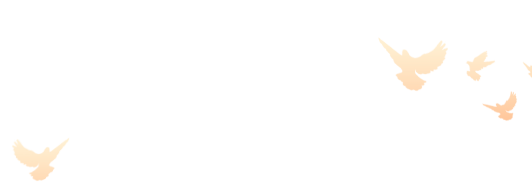 ׿Խ